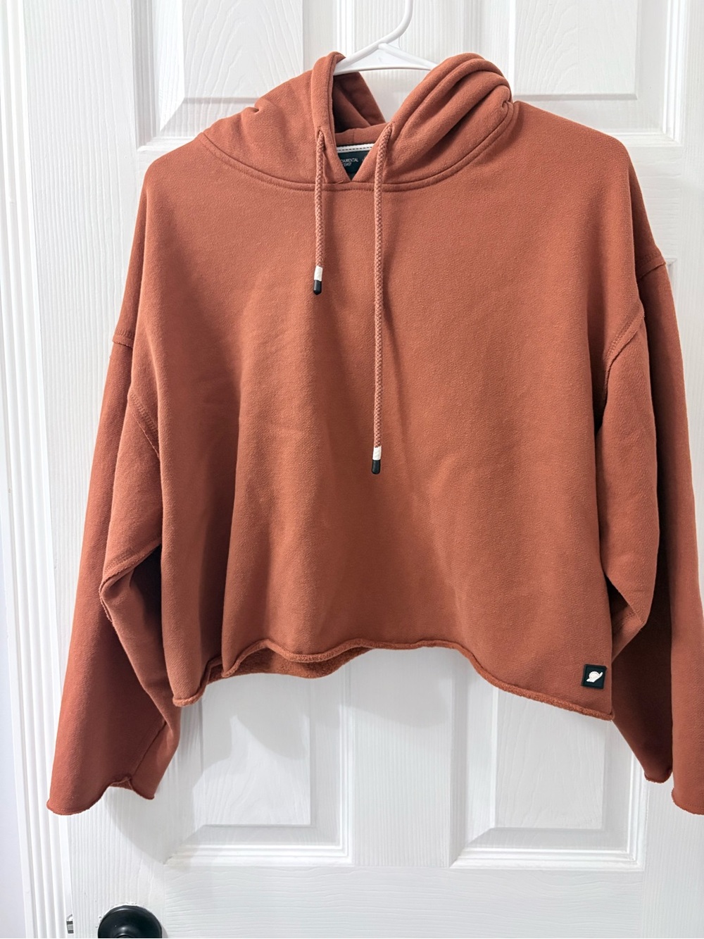 Fundamental Coast Cropped Pullover Hoodie - Women